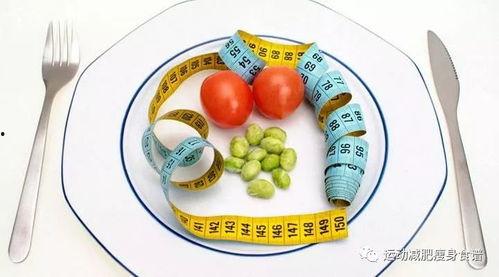 科學減肥娛樂吃瓜醬